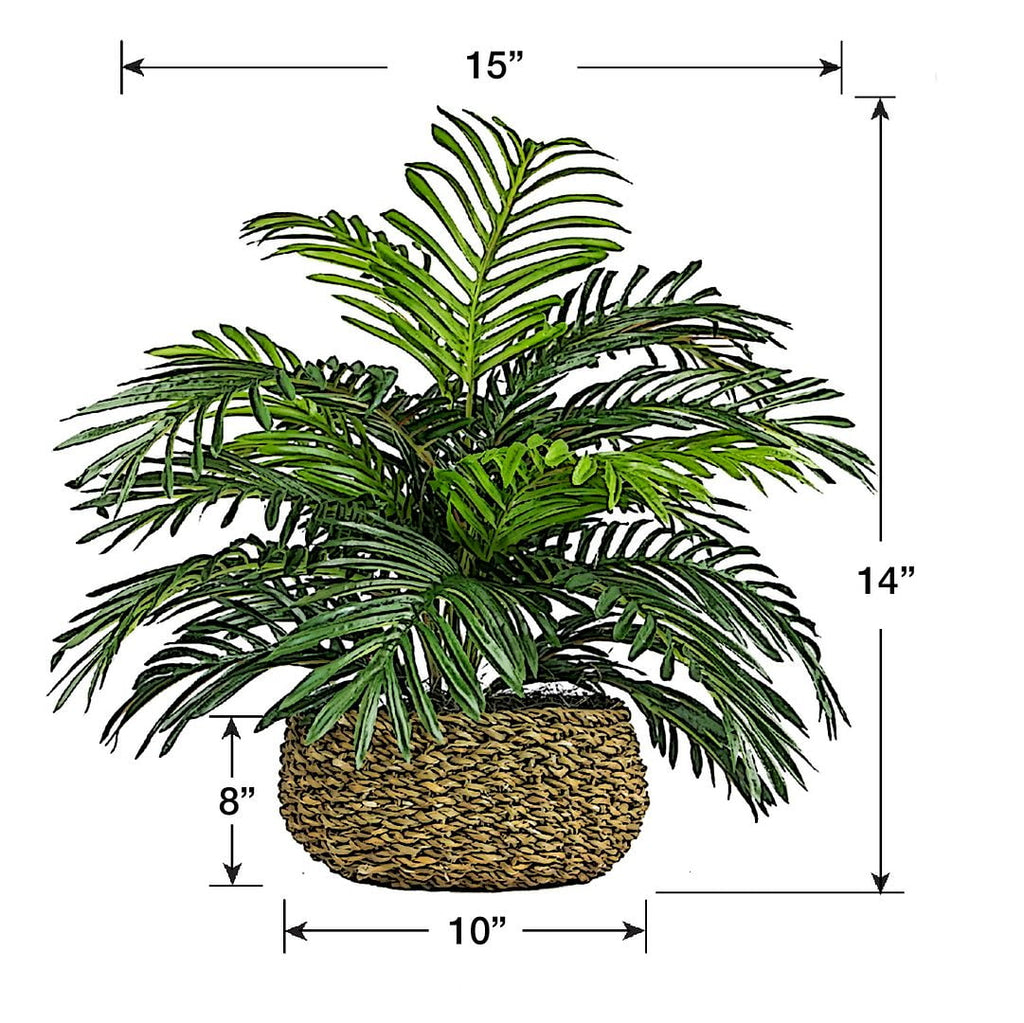 Artificial Plant, 14" Artificial Phoenix Palm in Low Round Handwoven Basket by LCG Florals, Faux Designer Fake Indoor Tabletop Plant for Living Room, Office, and Home Décor