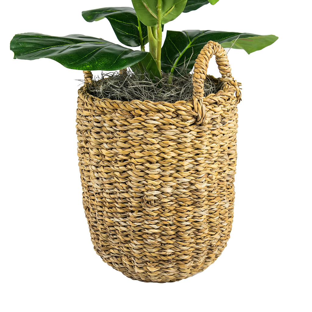 LCG Sales Artificial Plant, Fig Plant, 2.5 ft, Handwoven Basket with Handles